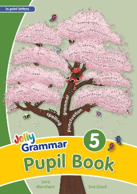 Grammar 5 Pupil Book (n print letters) by Sara Wernham