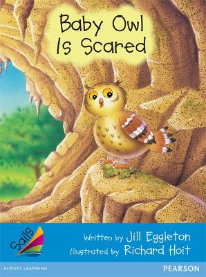 Baby Owl is Scared book