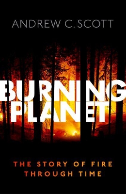 Burning Planet book