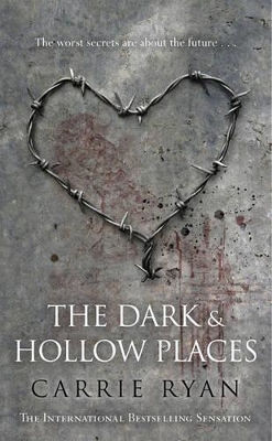Dark and Hollow Places book
