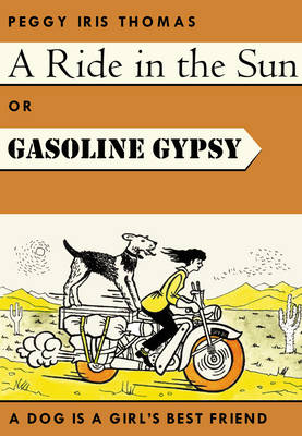 A Ride In The Sun - Gasoline Gypsy book