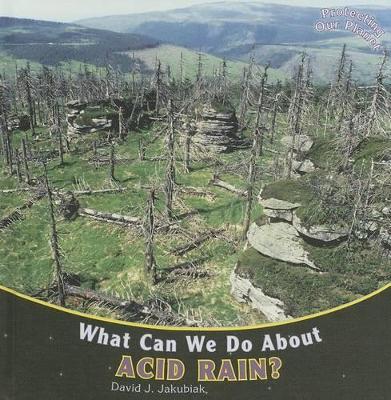 What Can We Do about Acid Rain? book