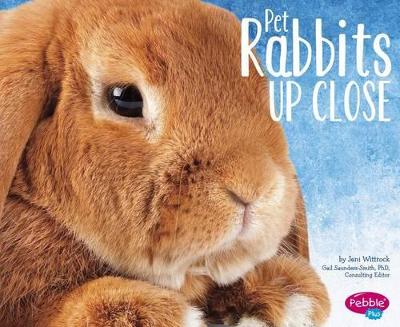 Pet Rabbits Up Close book