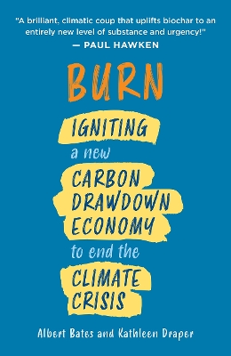 Burn: Igniting a New Carbon Drawdown Economy to End the Climate Crisis book