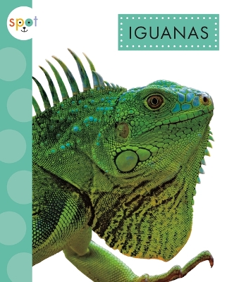 Iguanas book