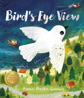 Bird's Eye View book