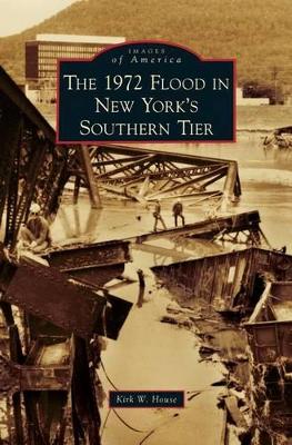 1972 Flood in New York's Southern Tier book