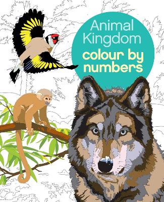 Animal Kingdom Colour by Numbers book