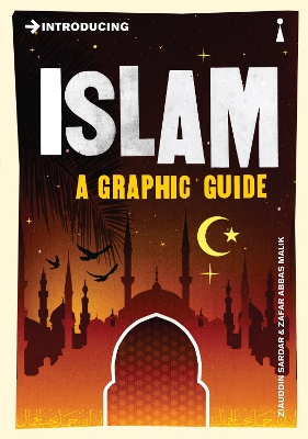 Introducing Islam book