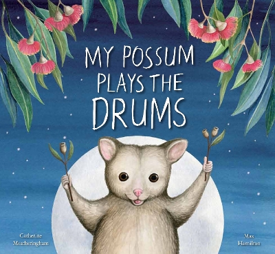 My Possum Plays the Drums book