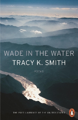 Wade in the Water book