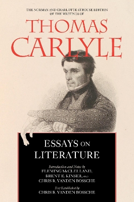 Essays on Literature book