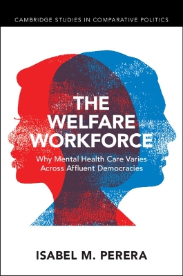 The Welfare Workforce: Why Mental Health Care Varies Across Affluent Democracies book