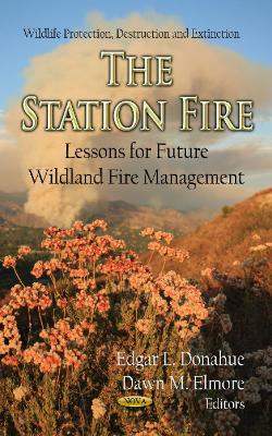 Station Fire book