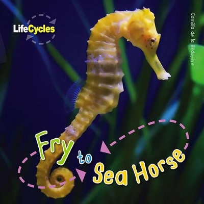Life Cycles: Fry to Seahorse by Camilla De la Bedoyere
