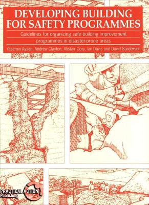 Developing Building for Safety Programmes book