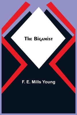 The Bigamist by F E Mills Young