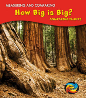 How Big Is Big? book