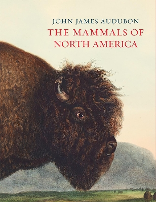 The Mammals of North America book