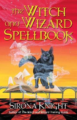 Witch And Wizard Spellbook book