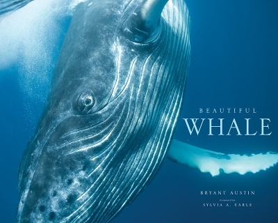 Beautiful Whale book