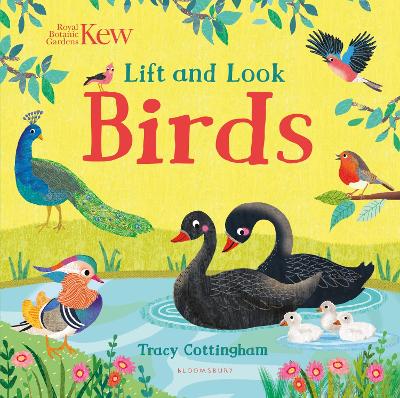 Kew: Lift and Look Birds book