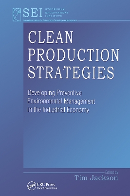 Clean Production Strategies book