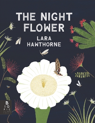 The Night Flower: The Blooming of the Saguaro Cactus book