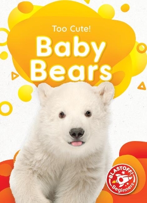 Baby Bears book