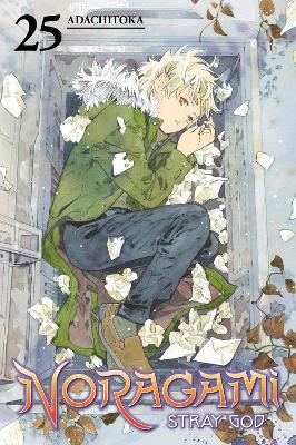 Noragami: Stray God 25 book