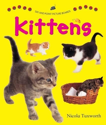 Say and Point Picture Boards: Kittens book
