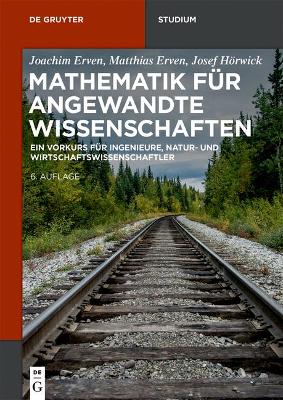 Mathematik für angewandte Wissenschaften: Ein Vorkurs für Ingenieure, Natur- und Wirtschaftswissenschaftler book