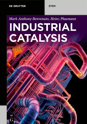 Industrial Catalysis book