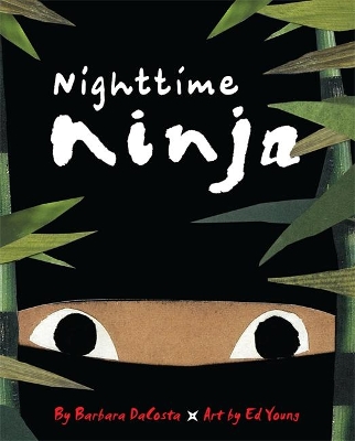 Nighttime Ninja book