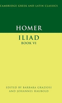 Homer: Iliad Book VI by Barbara Graziosi