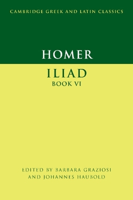 Homer: Iliad Book VI by Barbara Graziosi