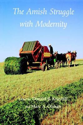 Amish Struggle with Modernity book