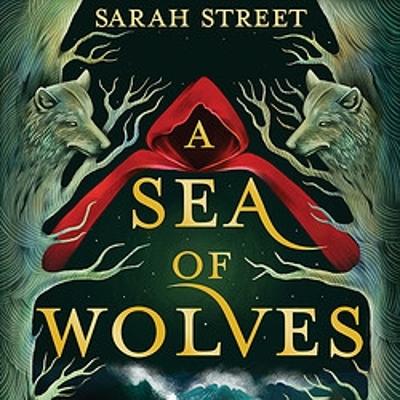 A Sea of Wolves by Sarah Street