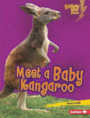 Meet a Baby Kangaroo by Anna Leigh