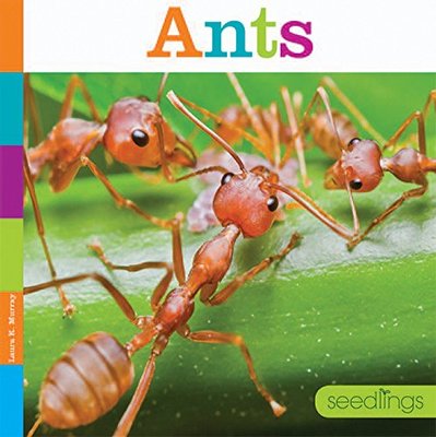 Ants book