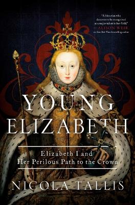 Young Elizabeth: Elizabeth I and Her Perilous Path to the Crown book