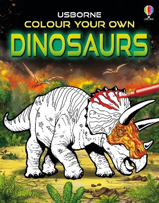 Colour Your Own Dinosaurs book
