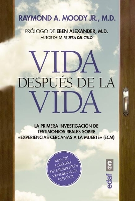 Vida Despues de la Vida book