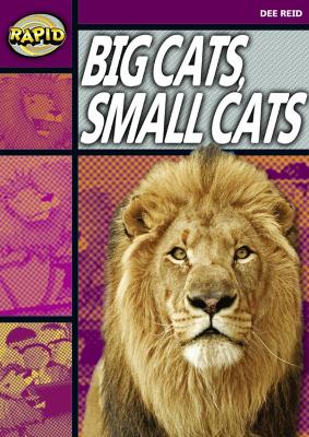 Rapid Stage 1 Set A: Big Cats Small Cats (Series 1) book