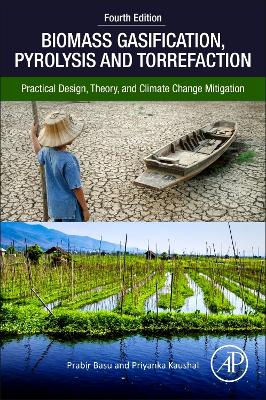 Biomass Gasification, Pyrolysis, and Torrefaction: Practical Design, Theory, and Climate Change Mitigation book