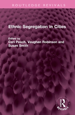 Ethnic Segregation in Cities book