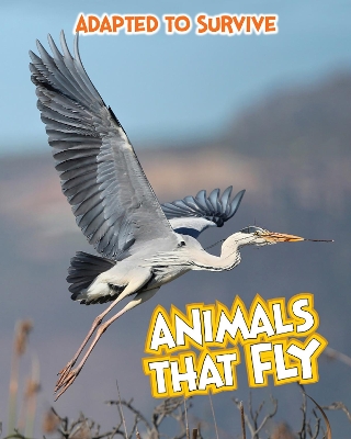 Adapted to Survive: Animals that Fly book