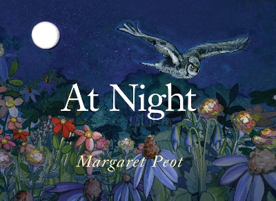At Night book