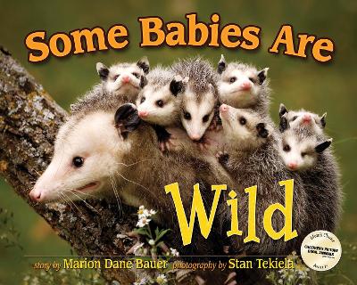 Some Babies Are Wild book