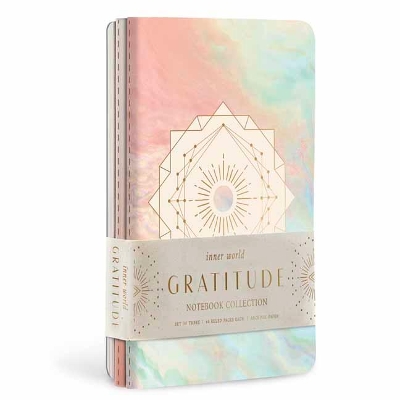 Gratitude Sewn Notebook Collection: Set of 3 by Insight Editions